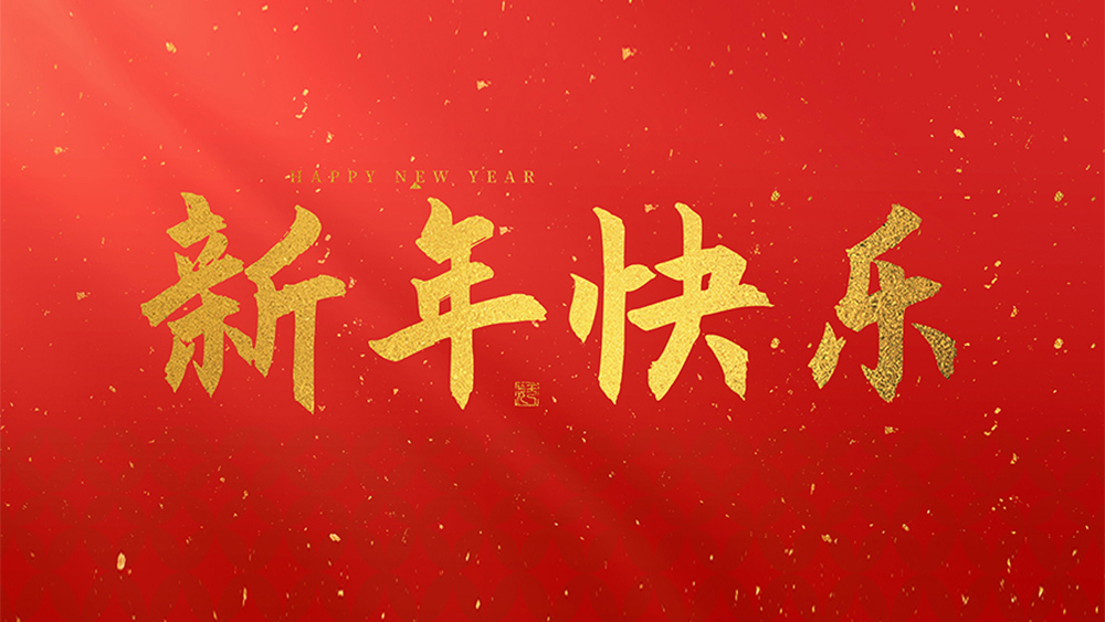 麗水市威儀自動(dòng)化技術(shù)有限公司祝全國(guó)人民2024年新年快樂(lè)！